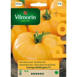 POMIDOR SZKLARNIOWY ORANGE WELLINGTON F1 0,1G VILMORIN