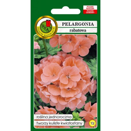 PELARGONIA RABATOWA F1 ŁOSOSIOWA 10NAS PNOS