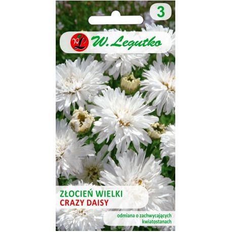 ZŁOCIEŃ WIELKI CRAISY DAISY 0,2G LEGUTKO