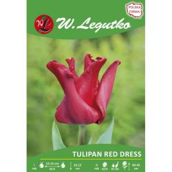TULIPAN RED DRESS 4SZT LEGUTKO